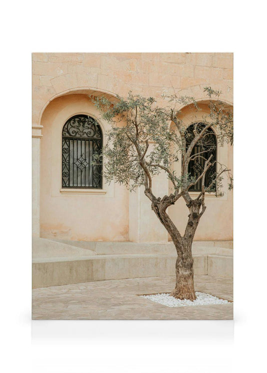 Lonely Olive Tree Canvas print